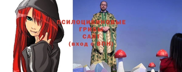 стаф Алексин