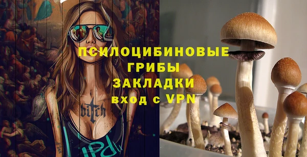 стаф Алексин