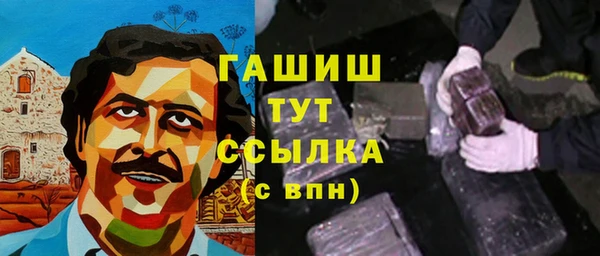 стаф Алексин