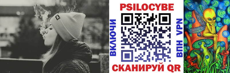 Псилоцибиновые грибы Cubensis  где найти   Чаплыгин 